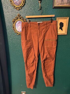 REI COOP RUST BROWN PULL ON CARGO PANTS SZ 14
